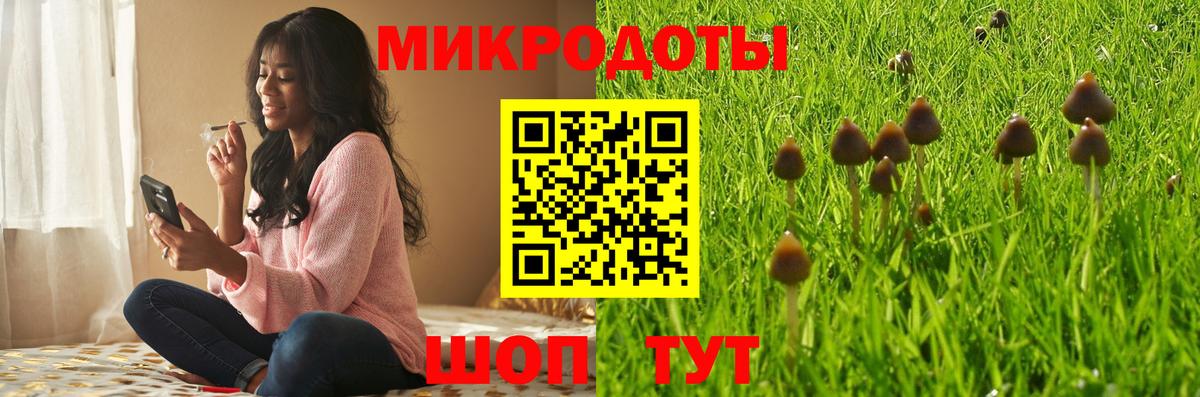 Новодвинск  Псилоцибиновые грибы прущие грибы  Псилоцибиновые грибы мицелий  Вход с VPN 