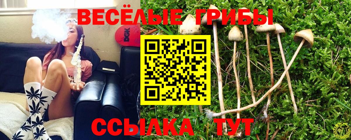 Псилоцибиновые грибы мухоморы Новодвинск